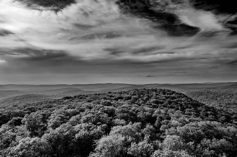 Ninham Mountain Fire Tower - Image 1