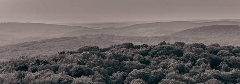 Ninham Mountain Fire Tower - Image 1