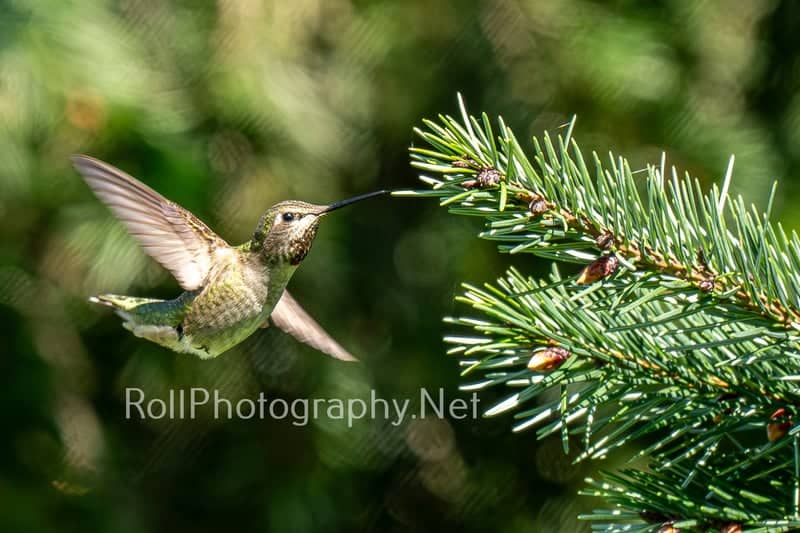 Gresham Nature Trails - Image 1