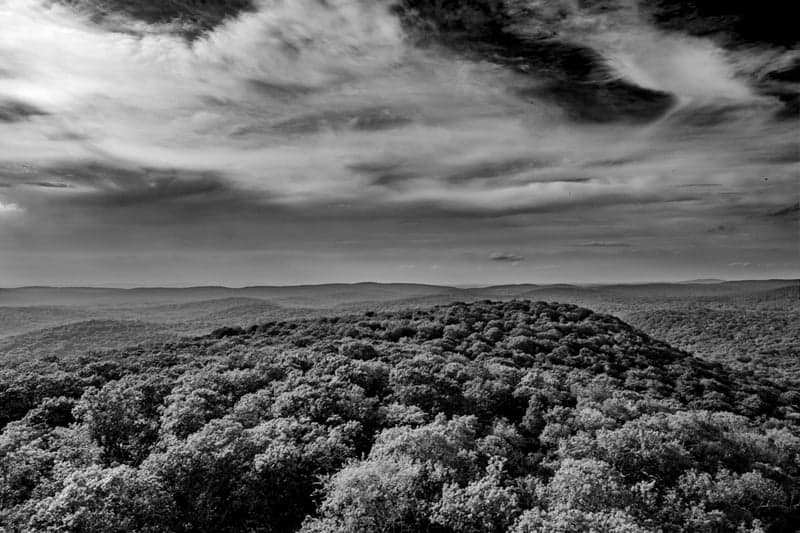 Ninham Mountain Fire Tower