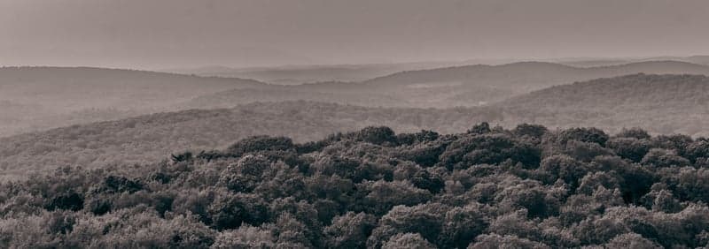 Ninham Mountain Fire Tower