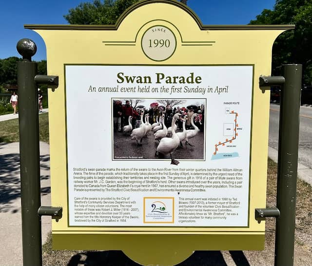 Swan parade starting point - Image 1