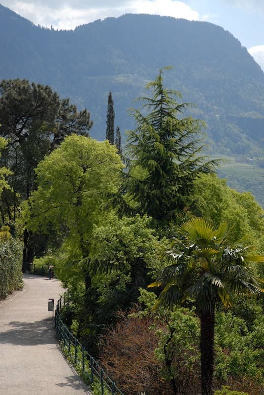 Passeggiata Tappeiner - Image 1