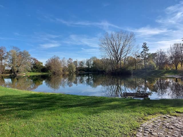 Naherholungsgebiet Galgenweiher - Image 2