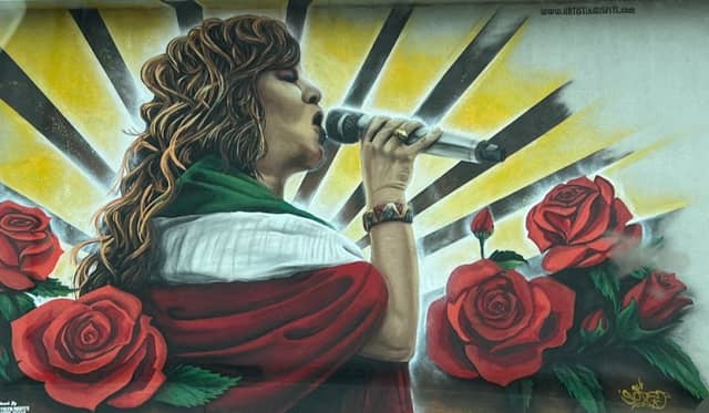 Jenni Rivera honoring Mural-Baytown - Image 1