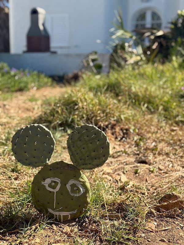 Cacto Mickey - Image 1