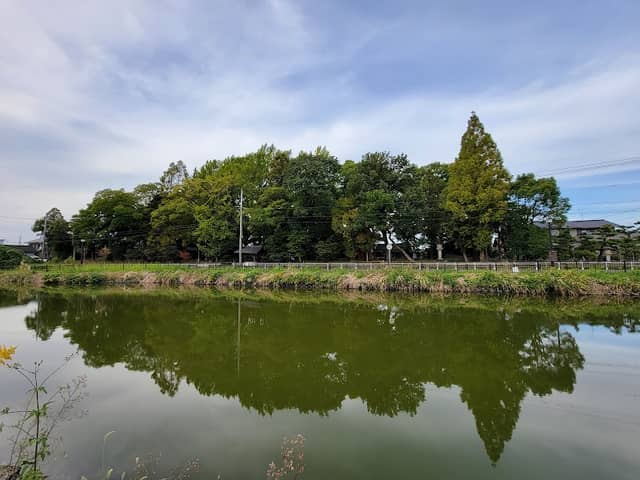 Tomoe Ryokuchi Park - Image 2