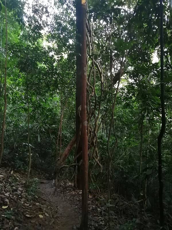 Melaka Bukit Beruang Trekking(Arch Entrance) - Image 2