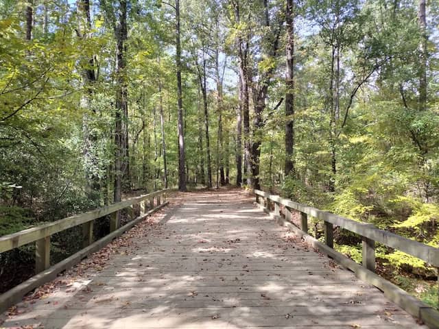 Eddie D Jones Park - Image 1
