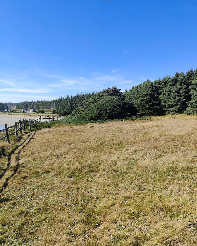 Point Michaud Nature Reserve - Image 3