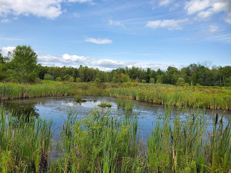 Great Swamp Conservancy - Image 1