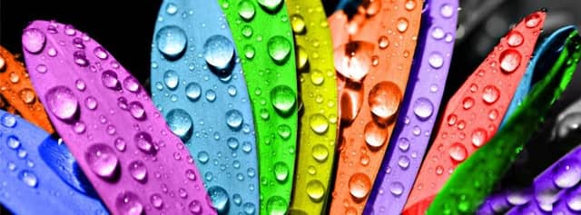 Rainbow House - Image 2