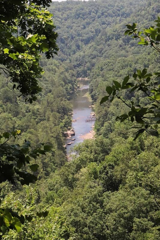Eberhart Point Overlook - Image 2