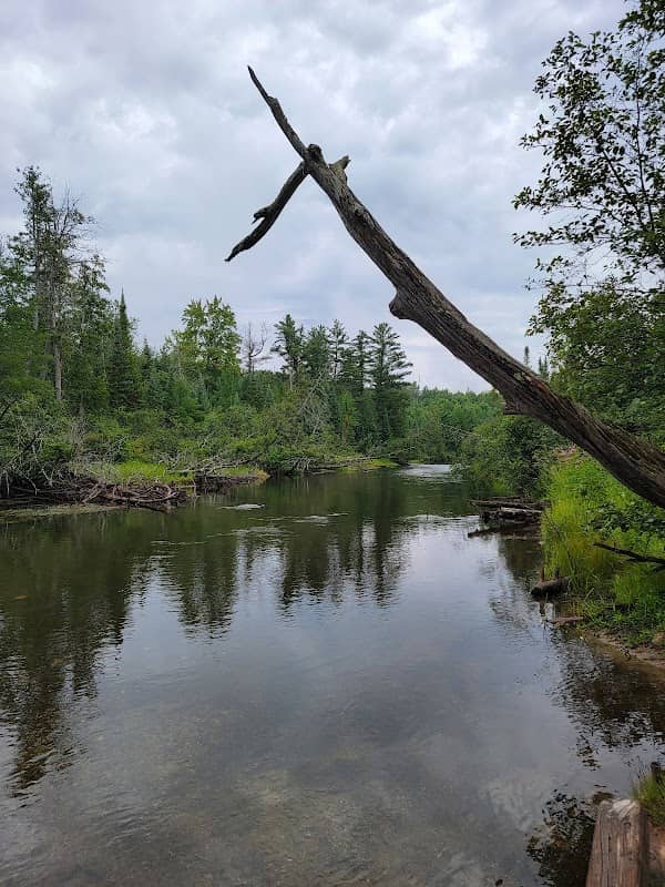 South Branch Campground - Image 2