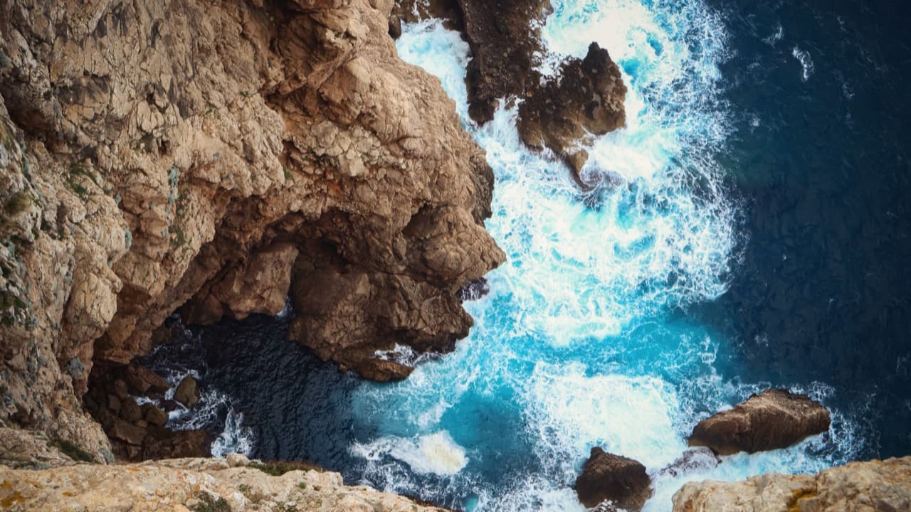 Bird’s-eye view
