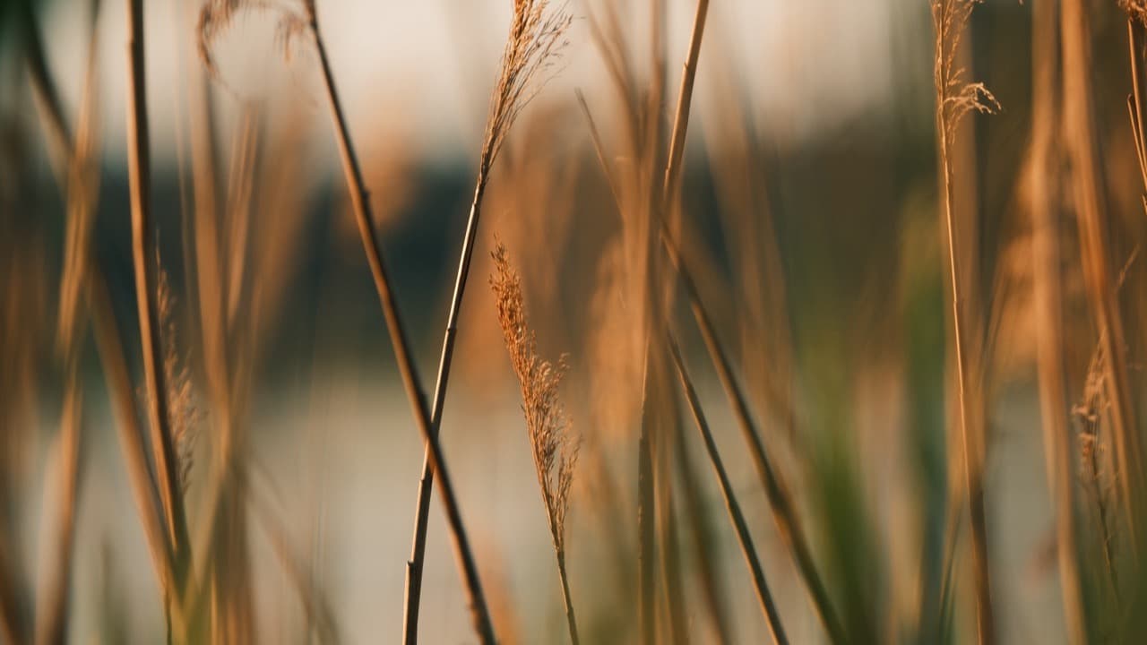 Exposure compensation