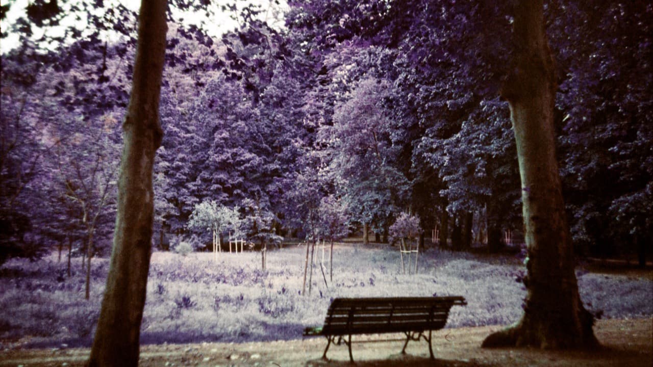 Hunt for purple