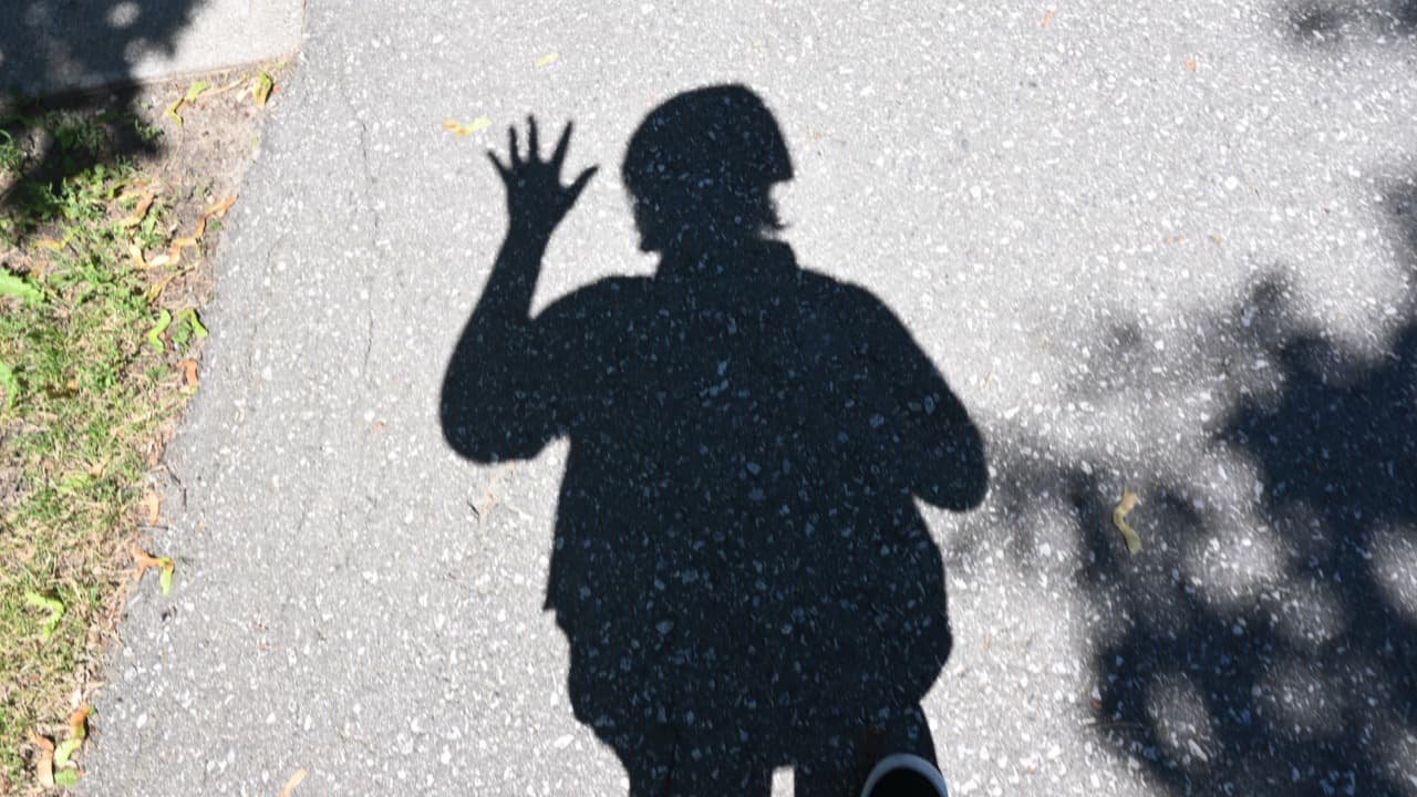 Shadow as subject