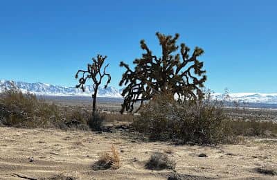 Big Rock Wash Wildlife Sanctuary - Image 3
