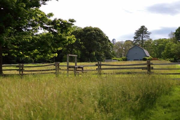 Sagamore Hill National Historic Site - Image 3