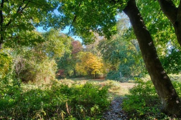 Ward Acres Park - Image 3