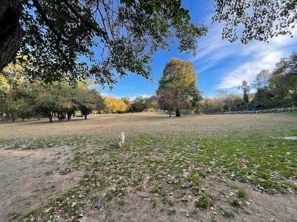 Ward Acres Park - Image 2