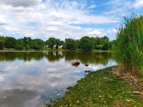 Foschini Park - Image 2