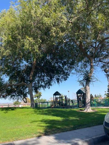 Frontier Park - Image 1