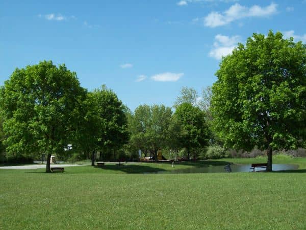 Pine Street Park - Image 1