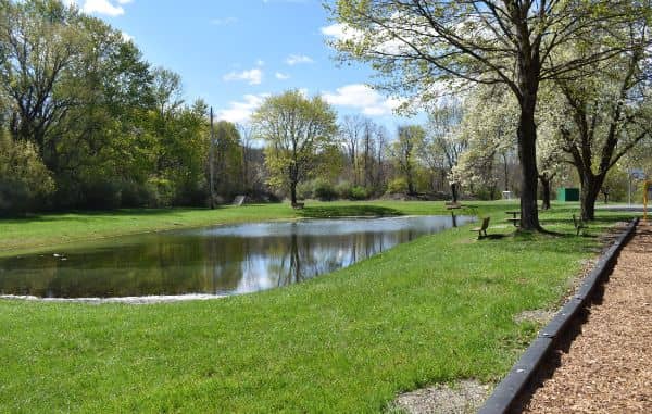 Pine Street Park - Image 3