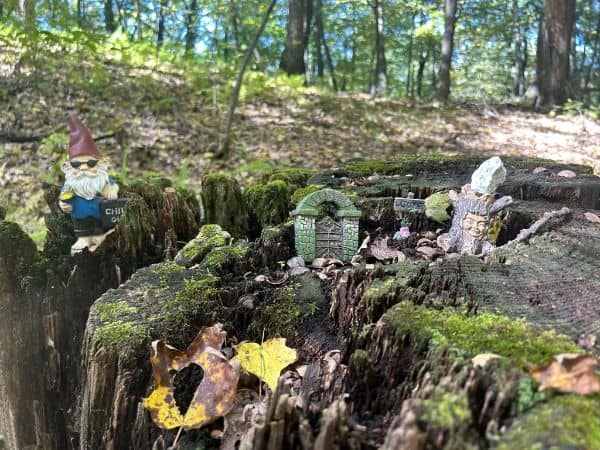 Gnome Hollow Nature Preserve - Image 1
