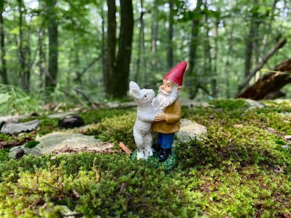 Gnome Hollow Nature Preserve - Image 2