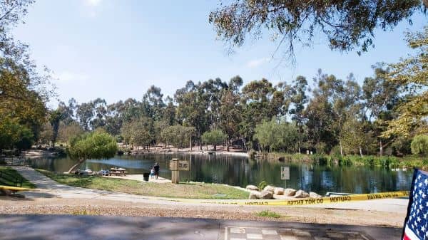 Stargaze Park - Image 3