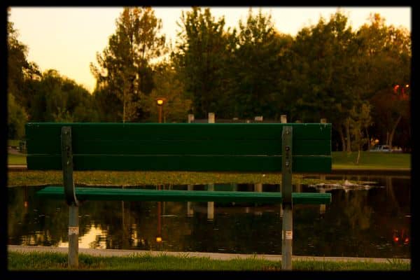 Ralph B Clark Park - Image 4