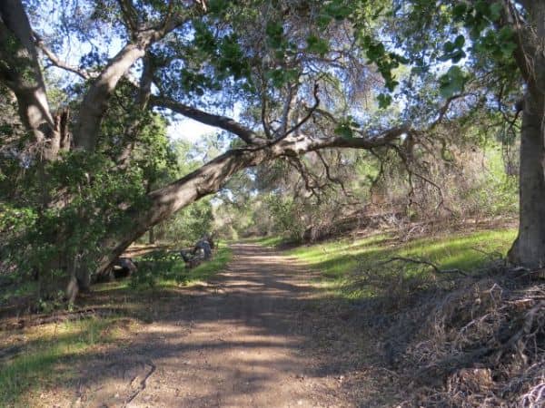Wildwood Canyon Open Space - Image 1