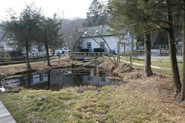 Cold Spring Harbor Fish Hatchery & Aquarium - Image 1