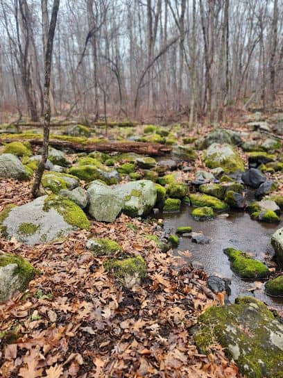 Mianus River State Park Scenic Reserve - Image 3