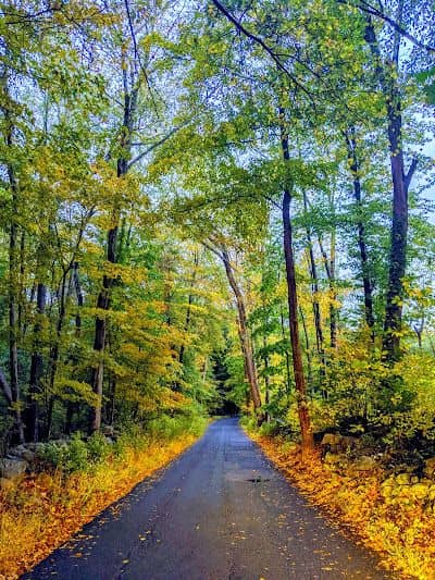 Mianus River State Park Scenic Reserve - Image 2
