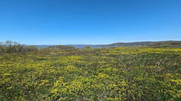 Croton Point Nature Center - Image 2