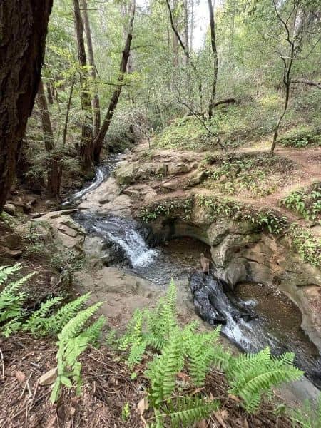 Cascade Park - Image 3