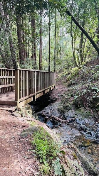 Cascade Park - Image 1