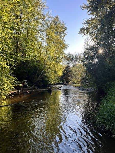 Confluence Park Trail Rest - Image 2