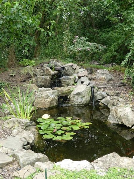 The Garden City Bird Sanctuary - Image 3