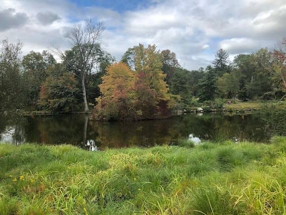 Marsh Sanctuary - Image 1
