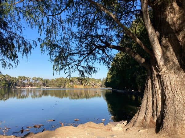 Santa Ana River Regional Park - Image 3