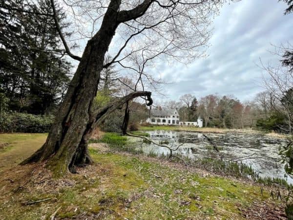 Bill Paterson Nature Center - Image 4