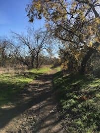 Zuma Canyon Trailhead - Image 3