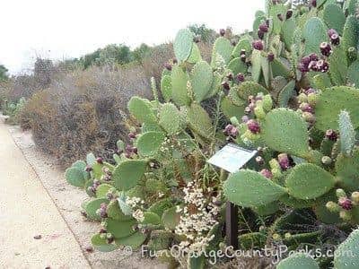 Nature Park - Image 1