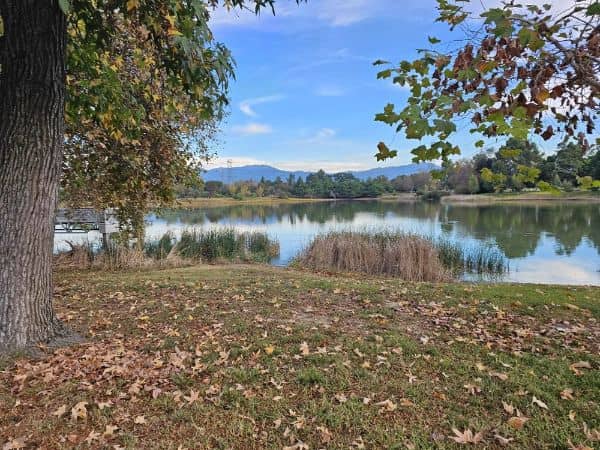 Whittier Narrows Park - Image 1