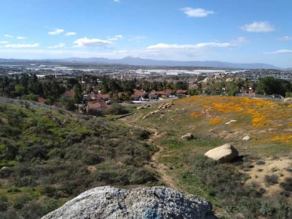 Riverside County Regional Park & Open Space District - Image 4